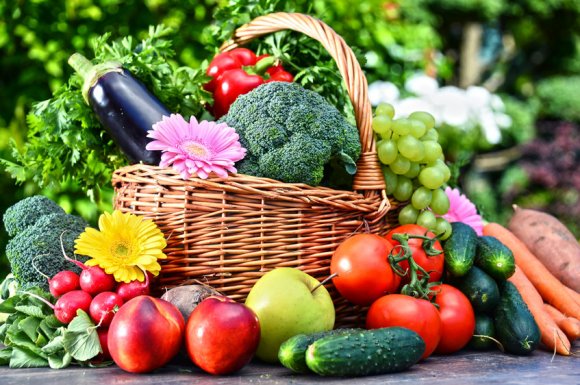 Vente directe de plants de légumes pour étoffer son potager à Vichy
