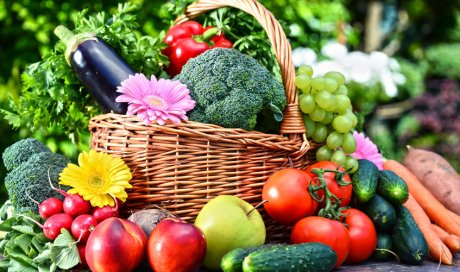 Vente directe de plants de légumes pour étoffer son potager à Vichy
